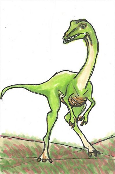 Datei:Compsognathus.jpg