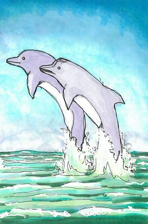 Delfin.jpg