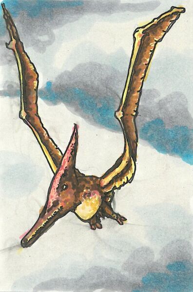 Datei:Pteranodon.jpg