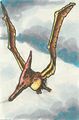 Pteranodon.jpg