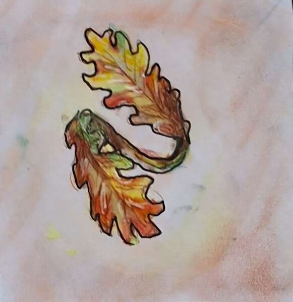 Datei:Ring der Schwäche.jpg