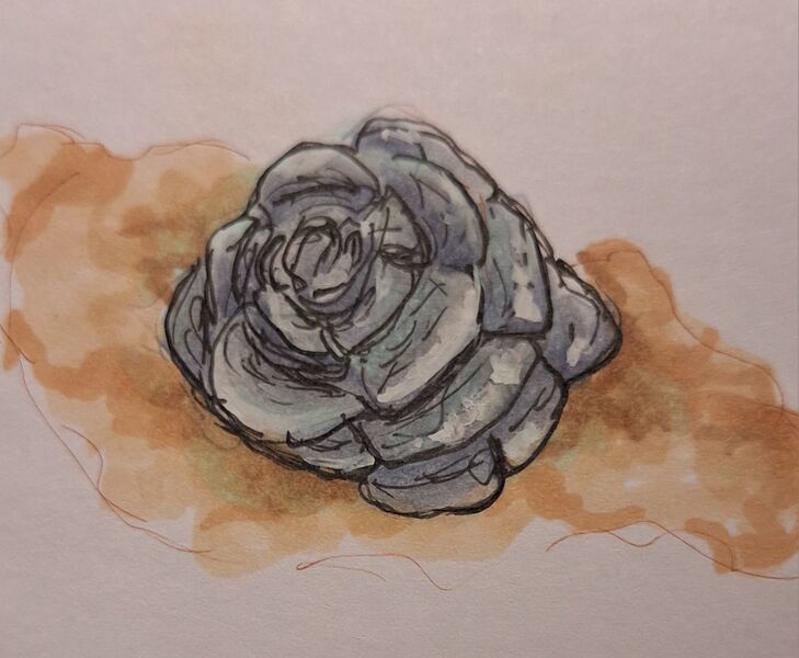Datei:Eisenrose.jpg