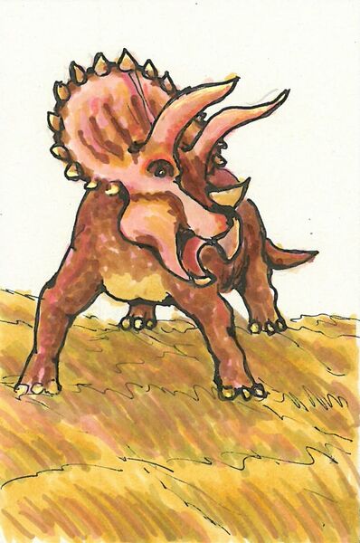 Datei:Triceratops.jpg