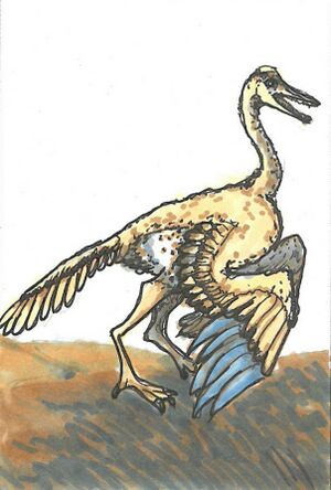 Archaeopteryx.jpg