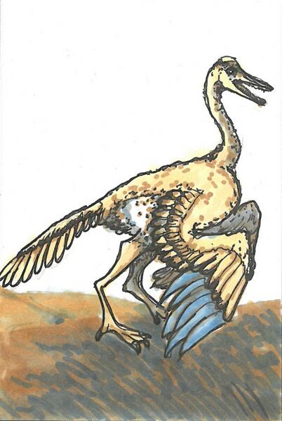 Datei:Archaeopteryx.jpg