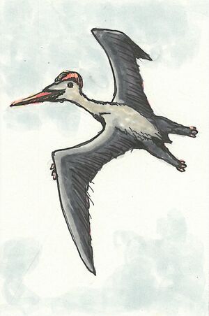 Pterodaktylus.jpg