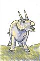Diceratops.jpg