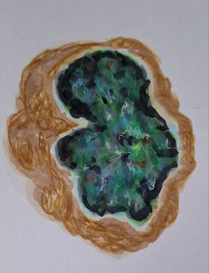 Schwarzer Opal.jpg
