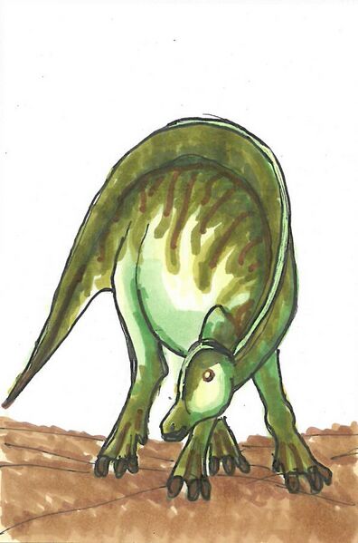 Datei:Hypacrosaurus.jpg
