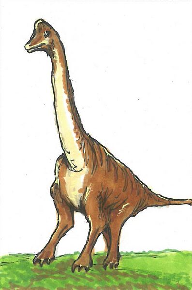 Datei:Brachiosaurus.jpg