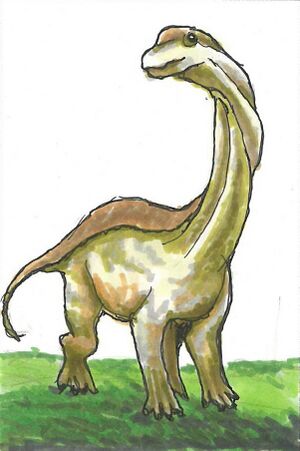 Apatosaurus.jpg