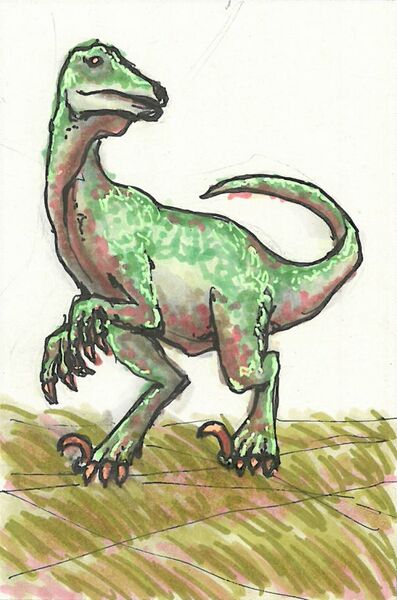 Datei:Velociraptor.jpg