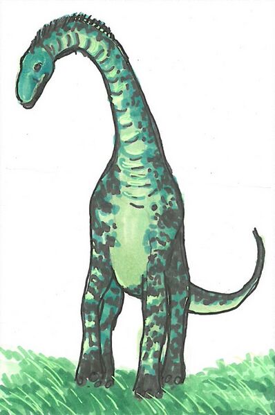Datei:Cetiosaurus.jpg