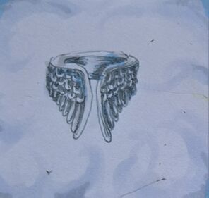 Ring des Federfalls.jpg