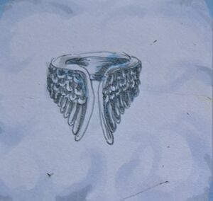 Ring des Federfalls.jpg