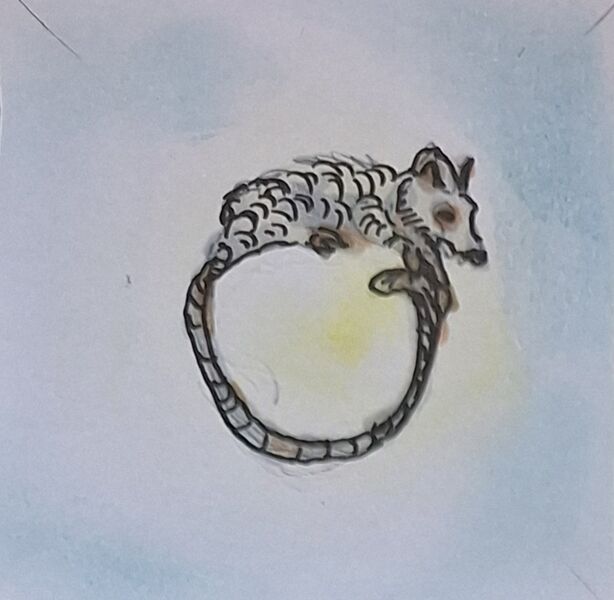 Datei:Ring der Handlungsfreiheit.jpg